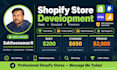 build a professional shopify ecommerce store