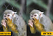 remove fences obstructing on your photo