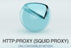 setup a http port squid proxy on your linux vps