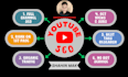 provide the best quality youtube SEO service to rank videos rapidly