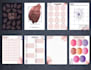 design custom  planner, calendar, journal, tracker, workbook