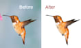 do graphic design and video editing