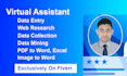 do data entry services
