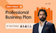 develop a professional grade business plan