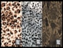design a seamless repeating pattern design of animal print