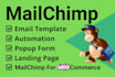 design mailchimp email template, popup form, and automation