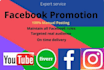 promote your business in USA through facebook