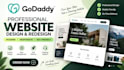 design a professional godaddy website for your business