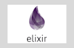 develop an elixir backend for your website