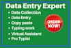 do data entry, copy paste, excel data entry