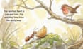 create kids book illustrations and character illustrations
