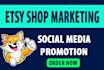 do amazon ebay etsy shopify store promotion USA web traffic