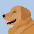 create minimalist pet illustration