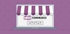 setup, customize, and integrate woocommerce store