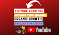 do best youtube video seo and optimize your channel