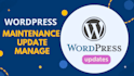 maintain, manage, and update your wordpress site regularly