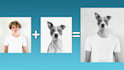 combine, manipulate your photos