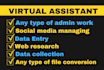 be your remote virtual assistant