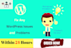 fix your wordpress errors or issues,bugs and add security