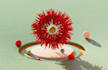 do 3d animation and rendering using blender