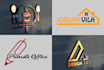 create a professional creative logo design