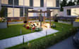 create your front yard, backyard, patio landscape design