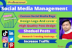 manage social pages, media accounts,  create stories, contents, and posts