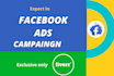 do ads setup and optimize  targeted facebook ads campaign
