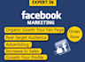 do organic promotion of your facebook page or group