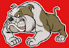 do embroidery digitizing logo into dst, pes file in one hour