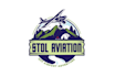 design high quality aviation logo with satisfaction guaranteed