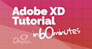 teach you adobe xd in 60 minutes