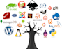 install any script and system on hosting server