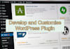 develop and config wordpress plugin