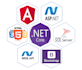 develop your web app using asp dotnet mvc or web api with angular