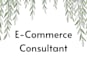 be your ecommerce business consultant