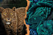 draw dark art animal illustration