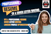 create professional cv, resume writing ,cv builder, cv maker