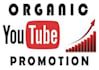 do viral youtube video promotion