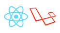 do reactjs laravel  project