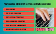 be your data entry operator and web researcher