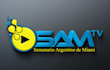 produce a custom 3d logo animation