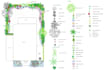 draw a planting plan