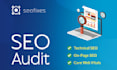 provide a technical SEO audit and analysis