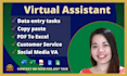 be your virtual assistant for admin, typing, copy paste, excel and data entry