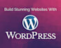 build full responsive stunning wordpress website design
