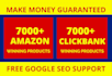 setup profitable amazon affiliate website and clickbank affiliate website
