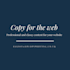 write or rewrite professional copy for your website