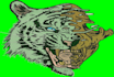 do embroidery digitizing logo into dst,pes,vp3,exp in 1 hour