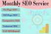 monthly local SEO service for google top page ranking